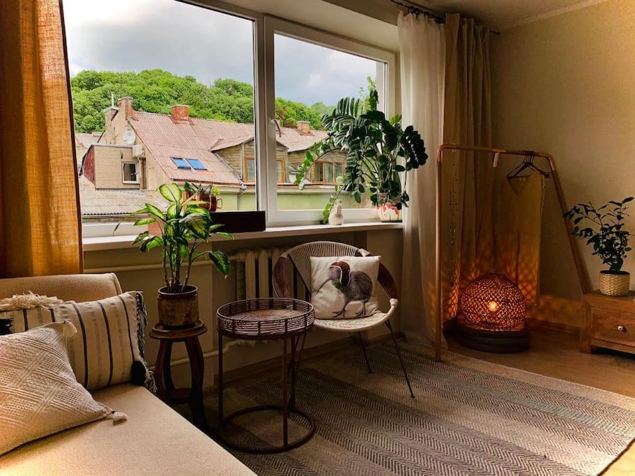 Three Bedroom With Two Terraces For 7People+Baby Κάουνας Εξωτερικό φωτογραφία