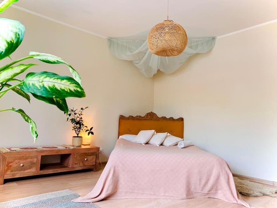 Three Bedroom With Two Terraces For 7People+Baby Κάουνας Εξωτερικό φωτογραφία