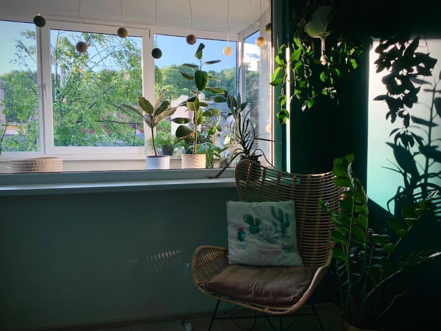 Three Bedroom With Two Terraces For 7People+Baby Κάουνας Εξωτερικό φωτογραφία
