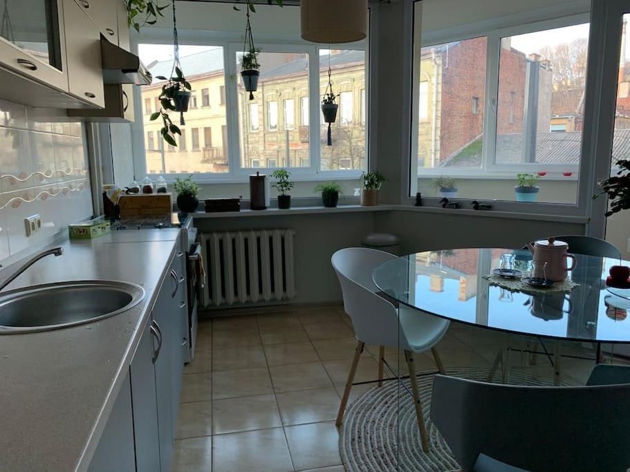Three Bedroom With Two Terraces For 7People+Baby Κάουνας Εξωτερικό φωτογραφία